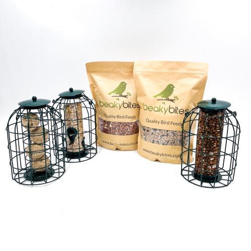Squirrel Proof Feeder and Feed Bundle
